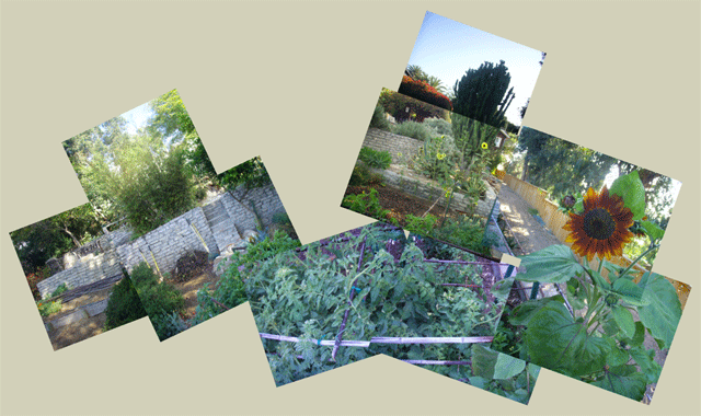 Garden-060908.gif