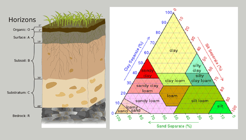 blog_soil.gif